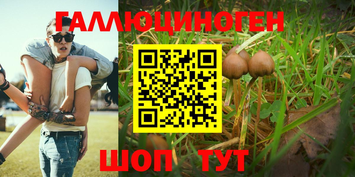 Галлюциногенные грибы Magic Shrooms  Вход с VPN  Галлюциногенные грибы мухоморы  Кузнецк 