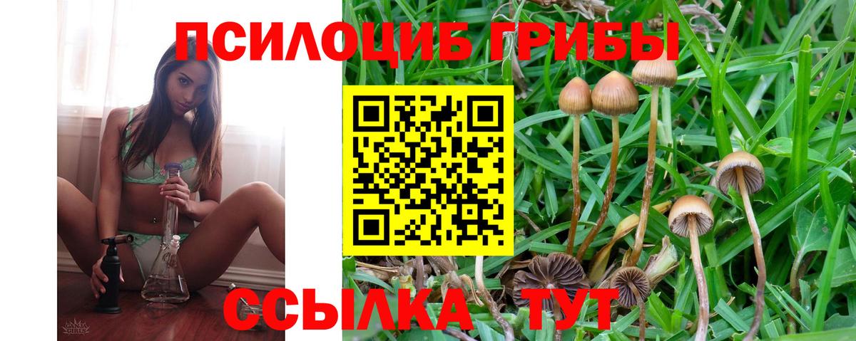 Галлюциногенные грибы MAGIC MUSHROOMS Кузнецк